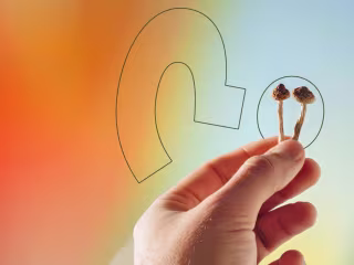 SEO Content - How Many Shrooms?