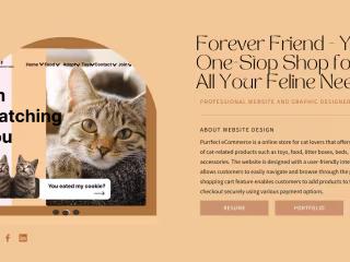 Forever Friend  Your One-Stop Shop for All Your Feline Needs