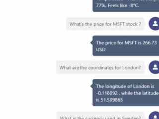 Custom Chatbot