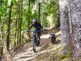 Cycling Blogs