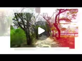 Tata AIA Life Insurance