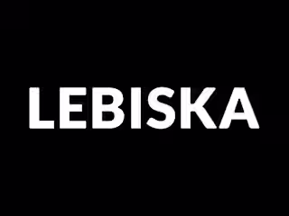 Elegant and Minimalist Logo Design for Lebiska