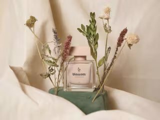 Blossom - Brand Identity  Design + Packaging Design 