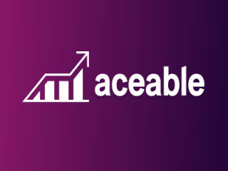 Aceable | Sales Consultancy Firm 🤩