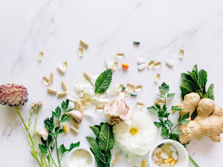 Wellness Supplement Market Presentation