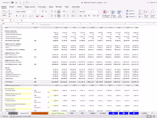 Investor-Ready Financial Model for Wellness Startup