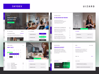 SKYDEX |  Predict Studio.