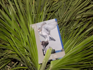 Abu Dhabi Art Fair - Key Visual 2022