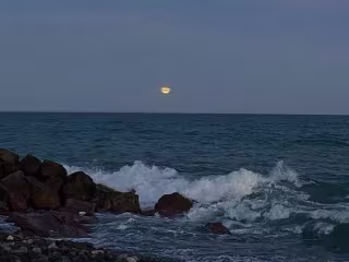 ocean fog - a poetry commission 