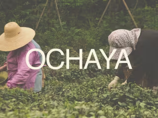 Brand Identity & Packaging design- Ochaya 
