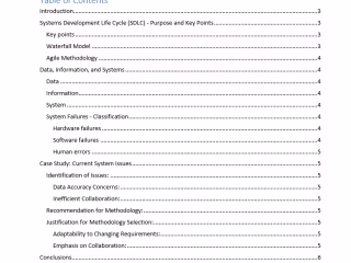 System Development Methodologies Report