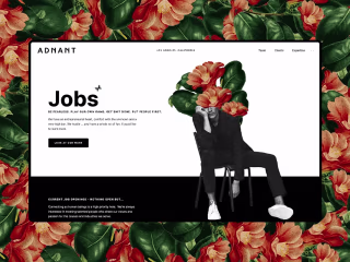 Adnant Consulting - Direction, Web Design and WP Development