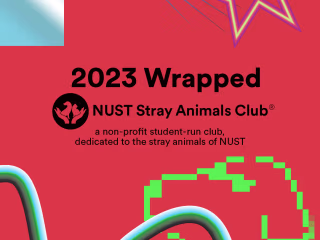 Mid-Tenure Wrapped 