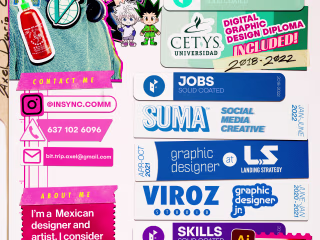 My CV