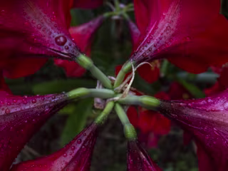 Lifestyle & Nature Photography — Chelsea Willett Designs
