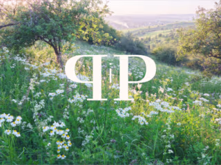 Pretty Little Vials - Your Local Decanting Perfume Shop