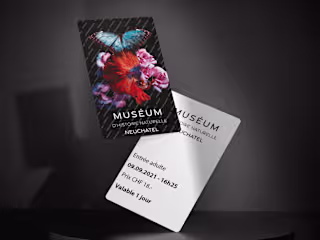 MUSEUM ENTRY TICKETS