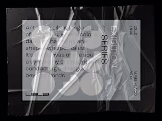 LeiLei Gallery Identity