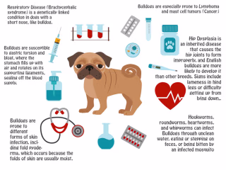 infographics design 