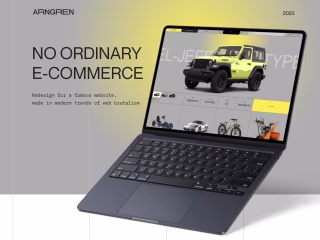Arngren E-commetce Website Design