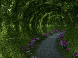 Nature's Corridor