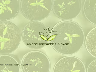 Macos Brand Design : Behance