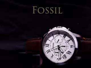Fossil 