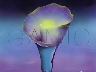 Gamic EP, by Lado Rei
