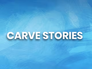OUR STORY - Carvestartuplabs
