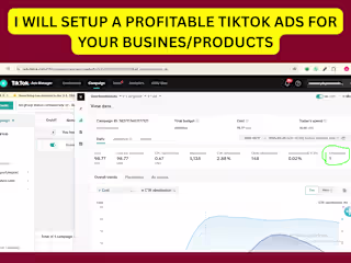 I will setup a profitable tiktok business products ads campaign