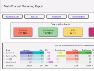 Looker Studio Dashboard for your Business and Marketing Team