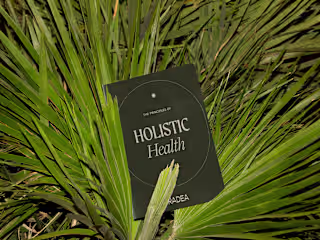 Radea // Holistic Nutrition