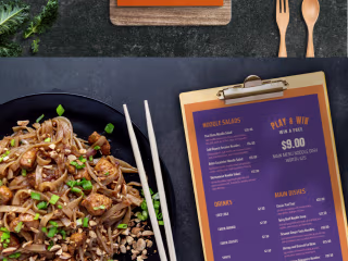 SnapStir Noodle Branding