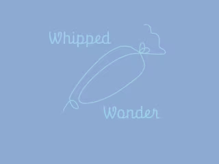 Whipped Wonder