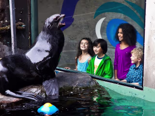 We are the Seattle Aquarium - Video Script