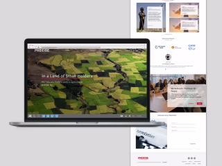 Web design and Build for a Consulting Firm