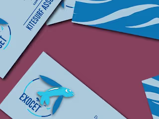 Logo creation for kitesurf association 🐬
