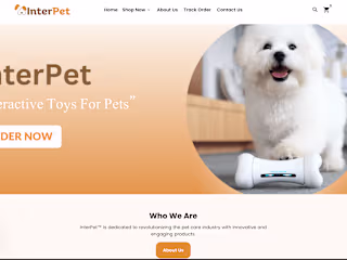 Shopify Store Design