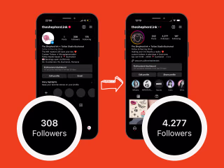 Instagram Manager, Strategist & Creator - The Shepherd Ink