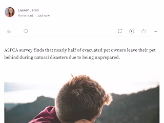 Medium Blog Articles