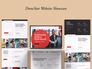 DrewStar Professional Finance Website UI/UX Web Design