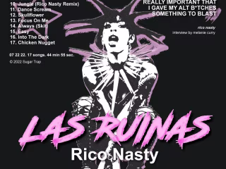 Album Promotion Flyer