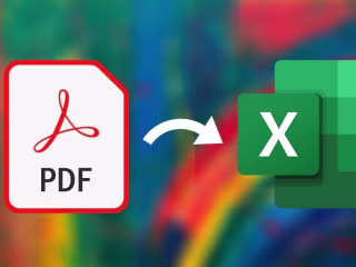 PDF to Excel Data Conversion