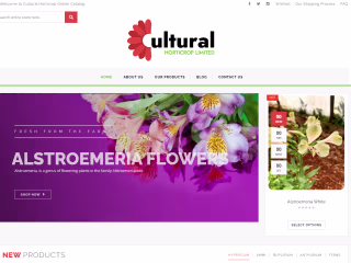 E-commerce Website Development with Custom Features