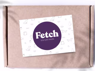 BRAND DESIGN- FETCH