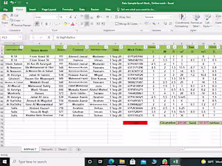 Data Entry On Excel Worksheet 