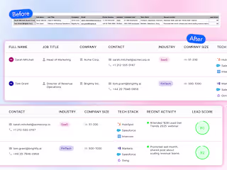 Data Visualization for Findymail