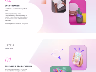 Brand Identity, Logo & Landing Page Creation for Lecca Snax.