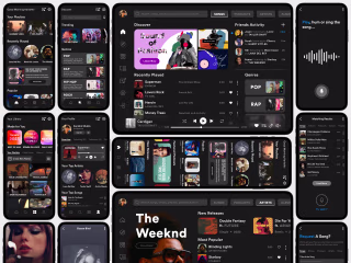 Spotify Redesign Case Study