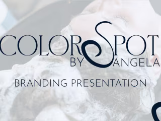 Color Spot By Angela Hairstylist Logo & Branding